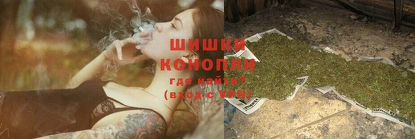 стаф Белокуриха