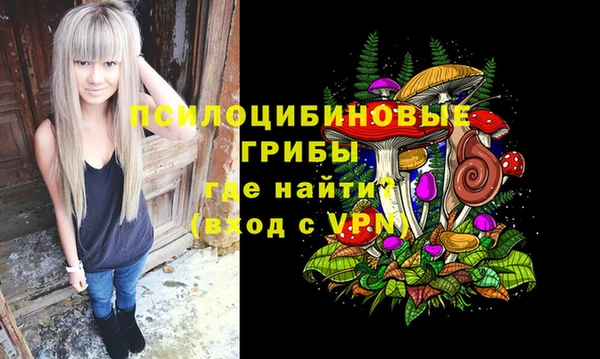 стаф Белокуриха