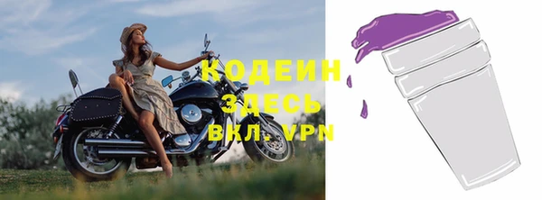 стаф Белокуриха