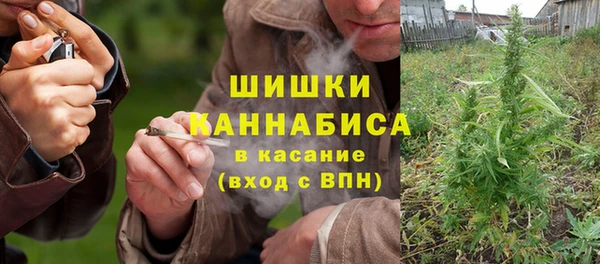 стаф Белокуриха