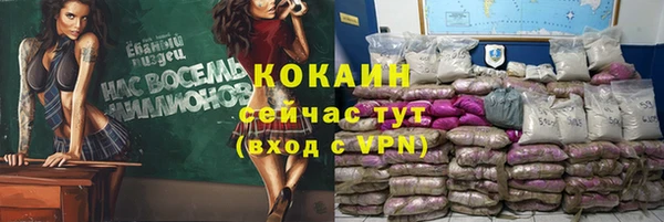 стаф Белокуриха